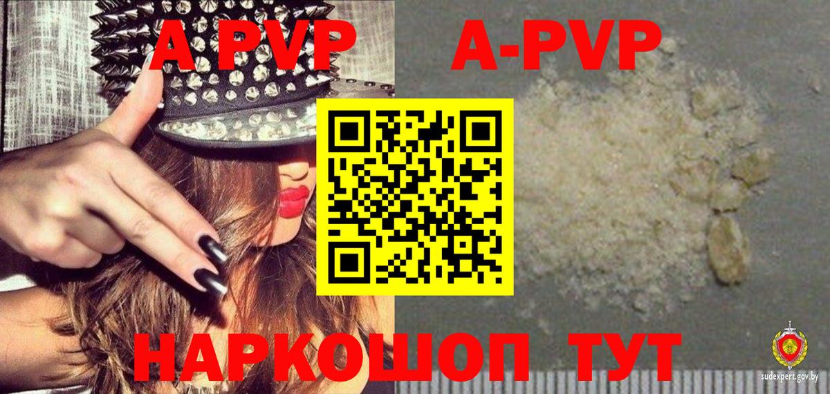 Alfa_PVP СК Сунжа
